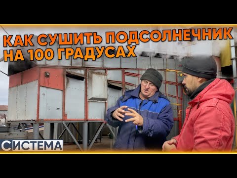 Видео: ОПАСНАЯ СУШКА ПОДСОЛНЕЧНИКА // Конвейерная зерносушилка АТМ Universal