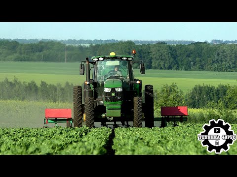 Видео: Новенький John Deere 6155 и советский культиватор УСМК. Междурядная обработка свёклы
