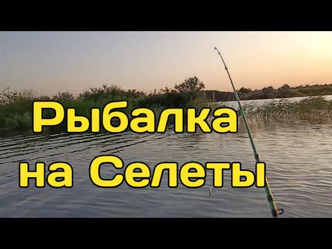 Видео: Рыбалка на Селеты 2025