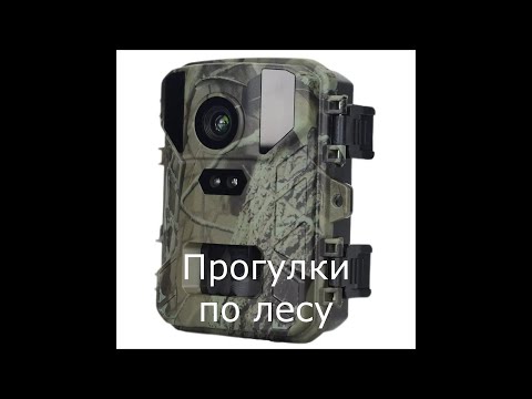Видео: Фотоловушка MINI800.  Обзор и тест.