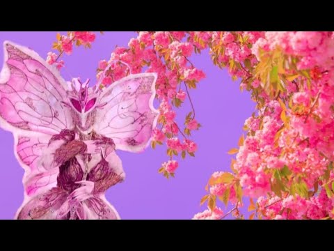 Видео: БАБОЧКА - Flowers | Шоу "Маска-5" | [12-Выпуск]