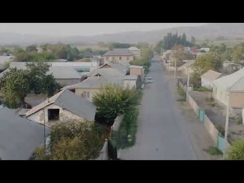 Видео: Тендик 2025