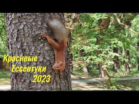 Видео: Красивые Ессентуки 2023