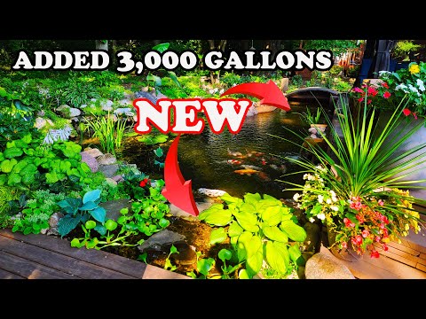 Видео: Мы СНОВА расширили пруд для отдыха (улучшенная фильтрация)