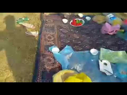 Видео: 14 февраля 2021 г.