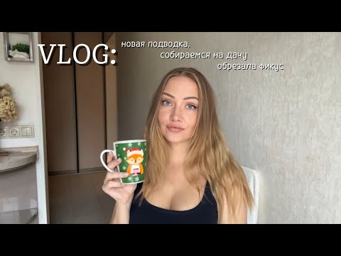 Видео: 8 - VLOG : распаковка WB / обрезала фикус / собираемся на дачу 