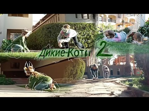 Видео: Астра и Кири ищут еду 🪶 2 ЧАСТЬ!!!!2 част!!