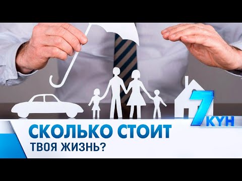 Видео: Муж — главный кормилец. А если его не станет?