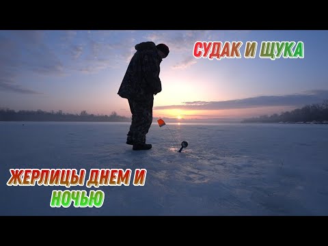 Видео: ВЕСЕННЯЯ РЫБАЛКА НА ЖЕРЛИЦЫ ДНЕМ И НОЧЬЮ! СУДАК И ЩУКА! УДАЧНО ЗАКРЫЛ СЕЗОН 2024!