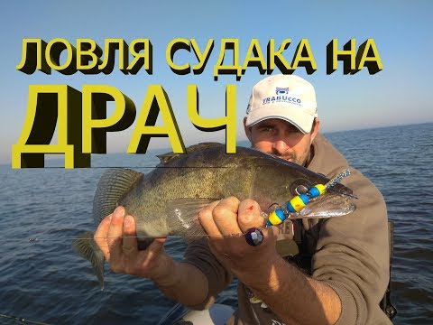 Видео: КЛЮЕТ НА КАЖДОМ ЗАБРОСЕ / Ловля судака / Джиг на судака / Судак