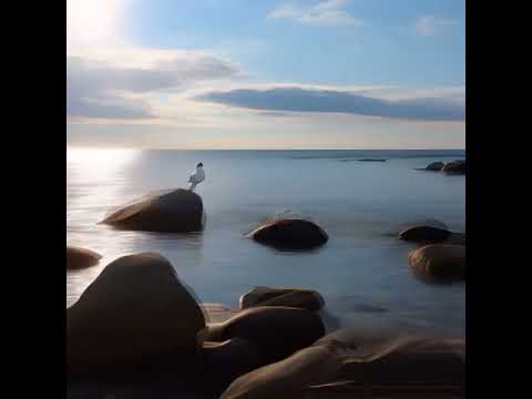 Видео: Марина КрАмень Скрипка