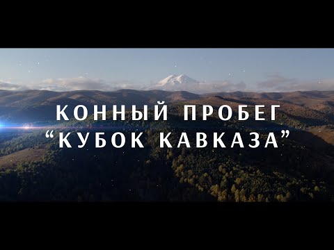 Видео: PRO_Событие. Конный пробег "Кубок Кавказа". 19 ноября 2023 года. 13:50