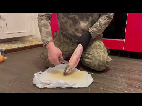 Видео: Строганина из чира! Деликатес Севера!