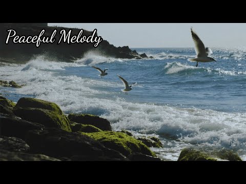 Видео: Мелодия, где встречаются небо и океан🎶Музыка Сергея Грищука