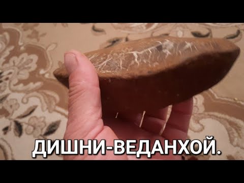 Видео: Элистанжи до Дишни-Ведено! Ненахойн Газиев Нажмуддин Хьаьжин т1ера докхха син саг1а. Мовлид оьшу..