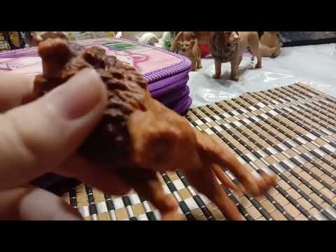 Видео: смотреть всём!!!!!!!!! ❤