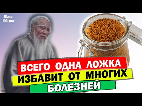 Видео: Пчелиная пыльца, панацея от болезней / Цветоная пыльца