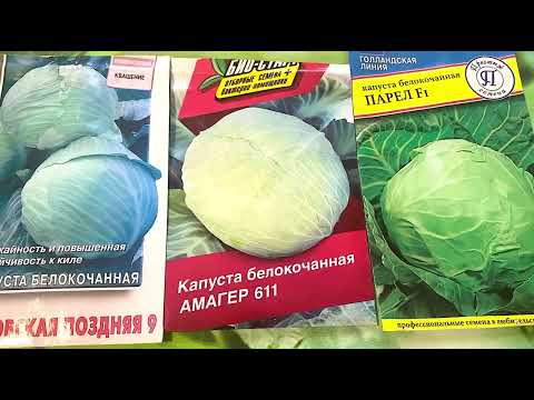 Видео: Мегаурожайные сорта и гибриды овощей 🥒🌶️🥕! Уральский огород Сезон 2023#обзорсемян#овощи2023#урал