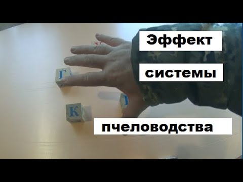 Видео: Эффект системы пчеловодства
