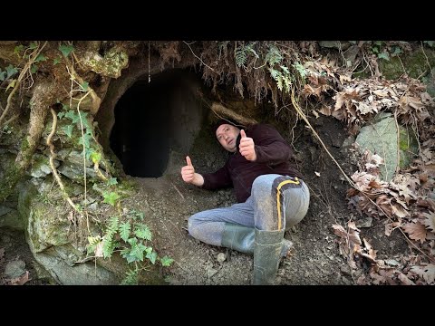 Видео: Золотые монеты, разбросанные из сокровищницы в тени истории