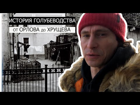 Видео: Вместо урока истории – ИСТОРИЯ ГОЛУБЕВОДСТВА МОСКВЫ 2-й половины 18-го по 1-ю половину 20 века.