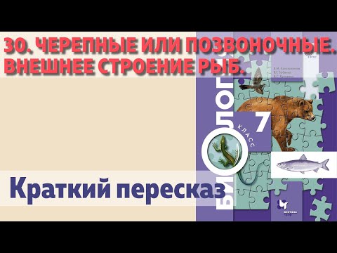 Видео: 30. Черепные или позвоночные. Внешнее строение рыб. Биология 7 класс.  Краткий пересказ.