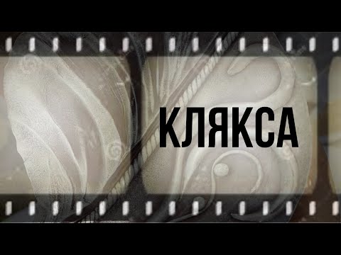 Видео: Работаем с кляксой