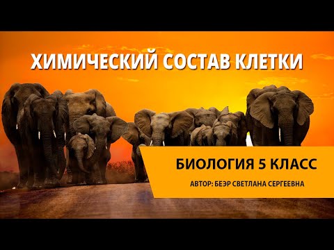 Видео: Химический состав клетки