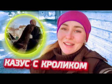 Видео: Труд, Март и Инкубация в моем многопрофильном хозяйстве! | Молодая Ферма