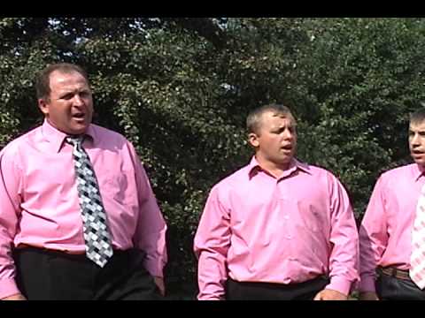 Видео: по Тундре