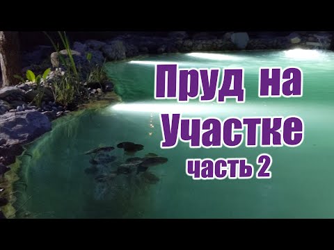 Видео: Пруд на участке (часть 2)