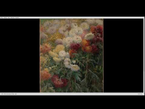 Видео: Кса и Камиль Писсарро + Гюстав Кайботт