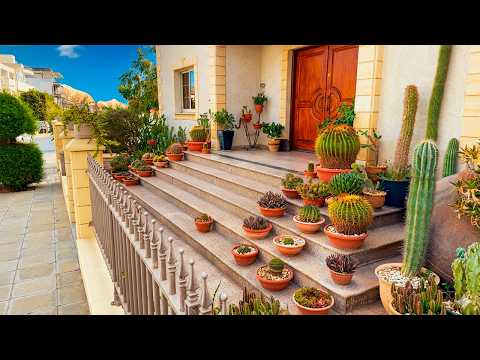 Видео: Пятничная прогулка по Лимассолу: жизнь города днём