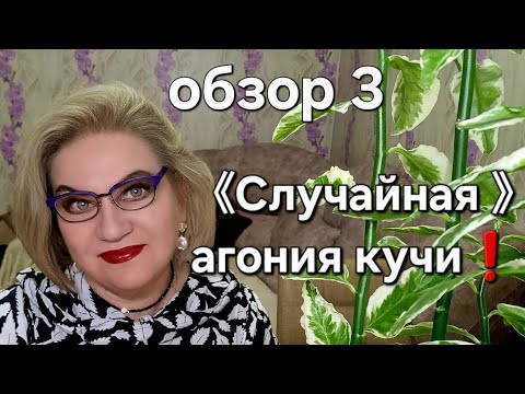 Видео: 《Случайная 》агония кучи❗️