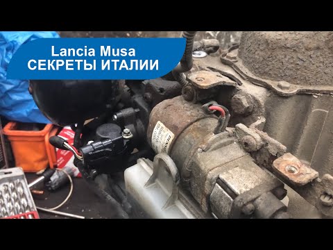 Видео: Ремонт коробки передач Lancia Musa 🚗 (аналог Fiat Idea) ЧАСТЬ 1 - диагностика и разбор