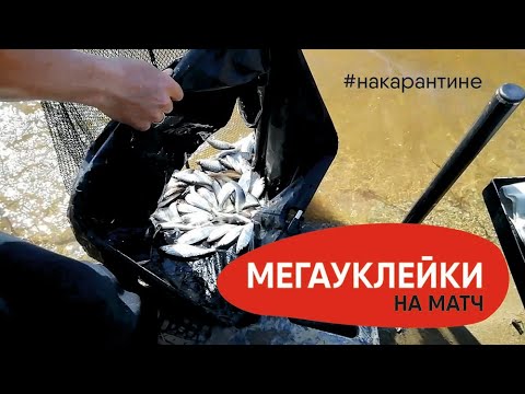 Видео: ЛОВЛЯ КРУПНОЙ УКЛЕЙКИ В КОМПАНИИ С ОТЦОМ! СУПЕР ОТДЫХ, НА ВЕСЕННЕЙ РЫБАЛКЕ! МОРЕ ПОЗИТИВА!