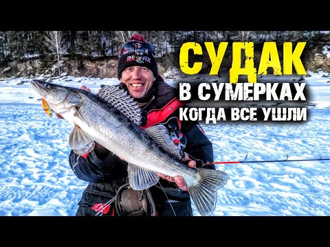 Видео: Судак не лезет в лунку! Как поймать судака из под бели с эхолотом