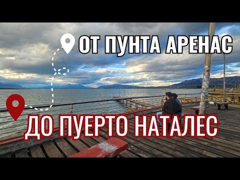 Видео: От Пунта Аренас до Пуерто Наталес, Чили | Видео №15 от Южна Америка