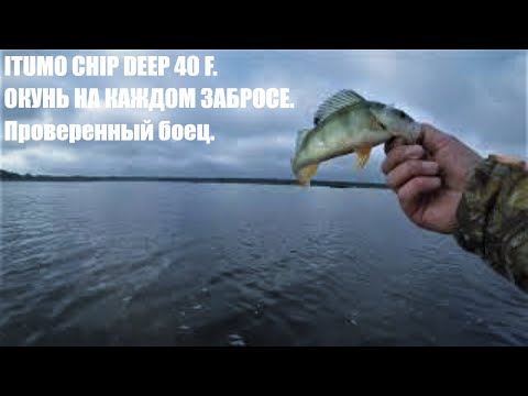 Видео: ОКУНЬ НА УЛЬТРАЛАЙТ 2021