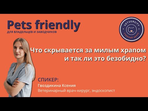 Видео: Что скрывается за милым храпом и так ли это безобидно?