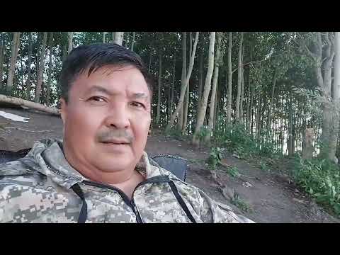 Видео: В поисках карпа...Кояндинская сага...Размышления о рыбалке и не только...