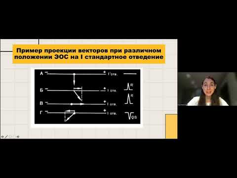 Видео: Основы векторной теории ЭКГ