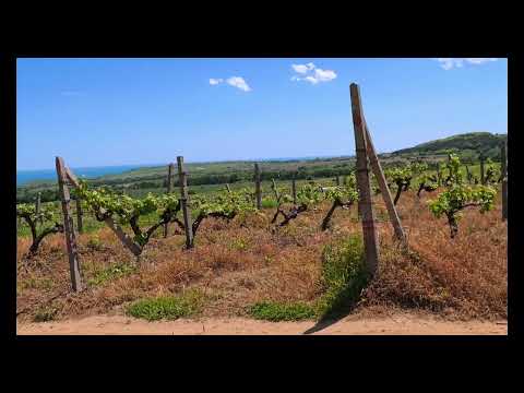 Видео: ПРЕХОД ДО КАРА ДЕРЕ  2