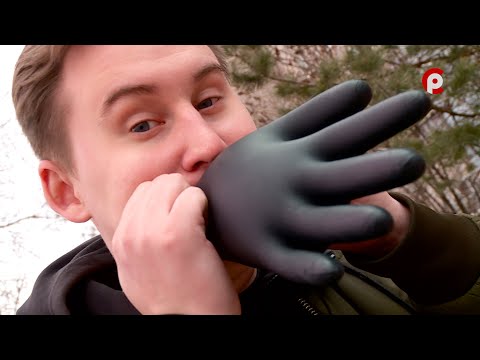 Видео: Что вижу, то пою. Выпуск №83