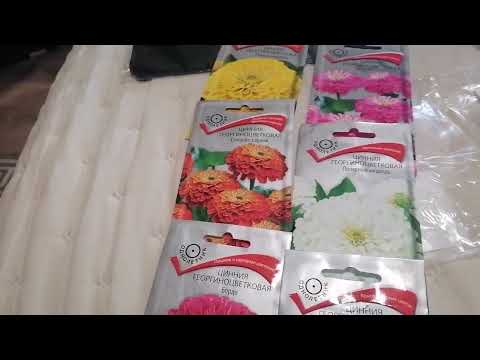 Видео: Покупки с Wildberries | Примерка 1 часть