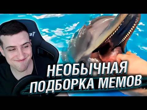 Видео: НЕОБЫЧНАЯ ПОДБОРКА МЕМОВ V230 | Реакция HellYeahPlay