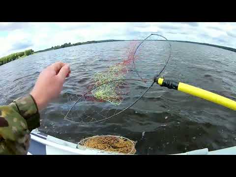 Видео: РЫБАЛКА И ОТДЫХ НА ВОЛГЕ.