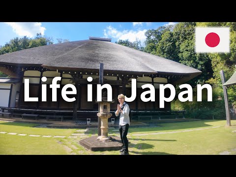 Видео: Простая жизнь с низким доходом – Посещение храмов с мамой в Японии 🇯🇵｜Влог