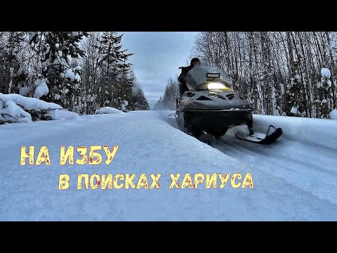 Видео: На дальнюю избу. В поисках хариуса. Февраль .2024г.