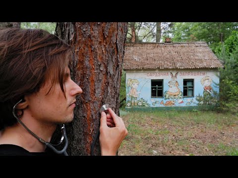 Видео: Как звучит заброшенный Летний лагерь Березка (51.841618, 24.319610) | Nostalgetik | Official video